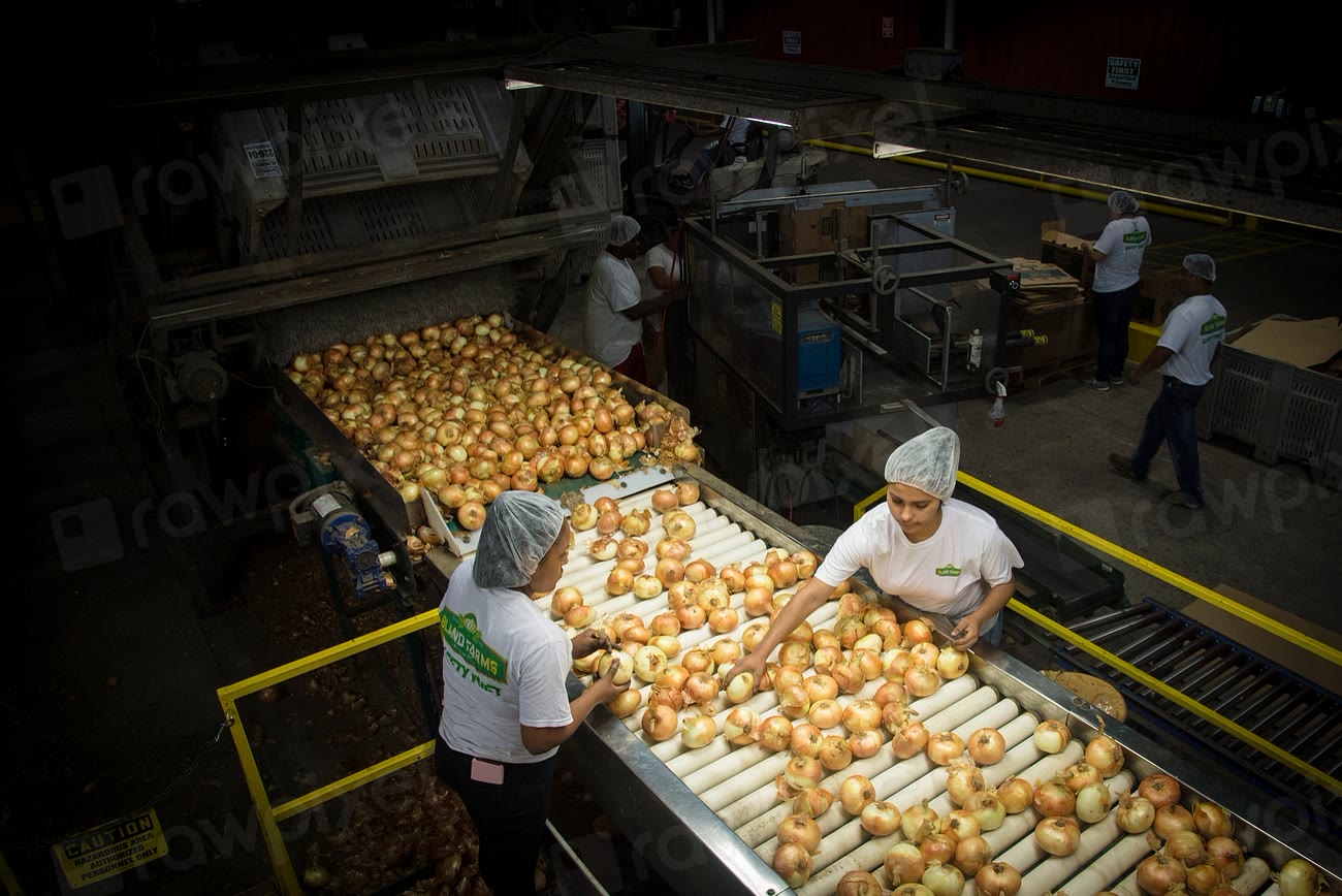 Fresh Food Foreign-Object Removal & Grading